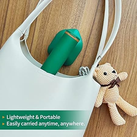 Professional Handheld Portable Micro Steam Iron - CL-JA-1001
